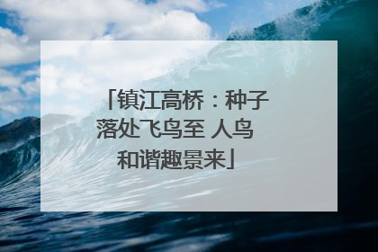 镇江高桥：种子落处飞鸟至 人鸟和谐趣景来
